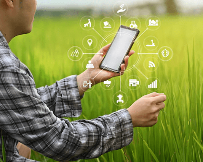 Schedule Your Experience