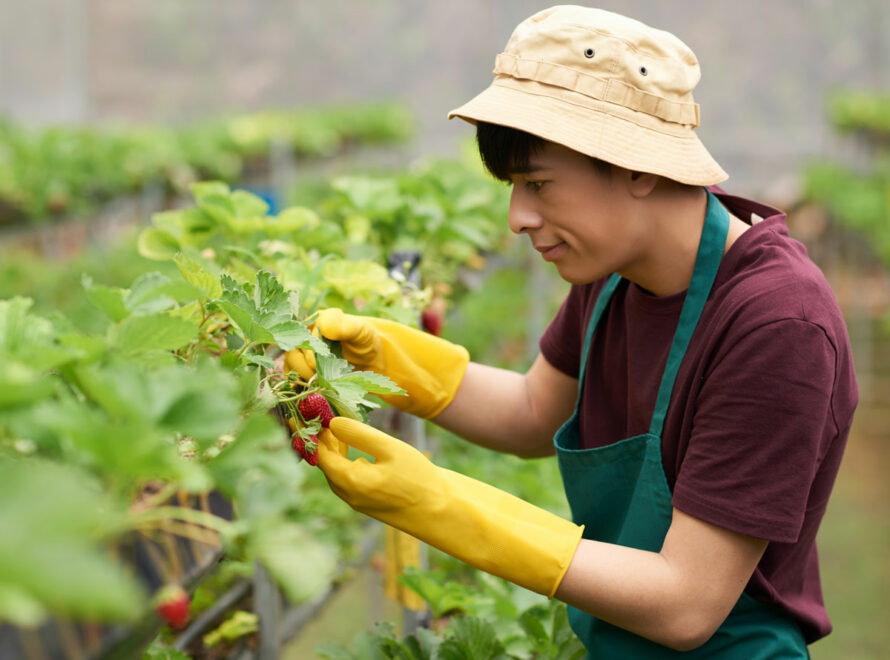 What Technology is Used in Vertical Farming?