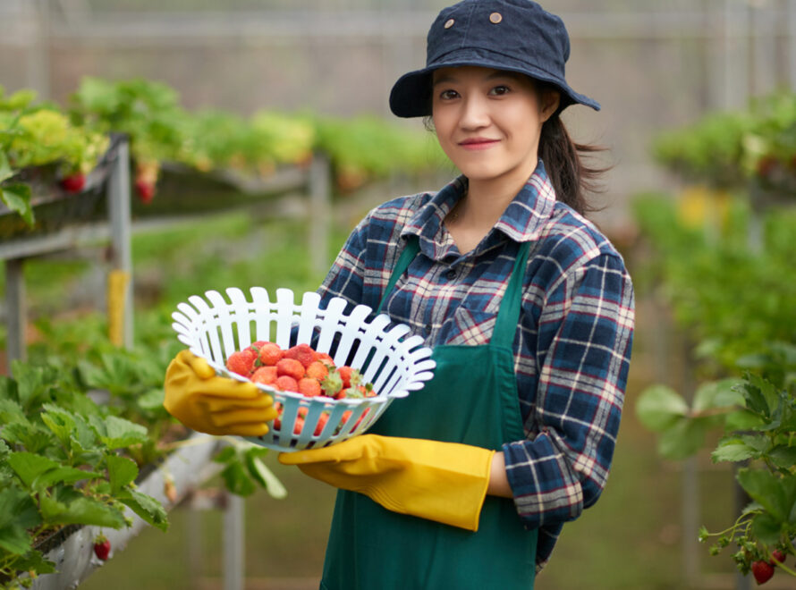 How to Include Organic Vegetables in Your Diet